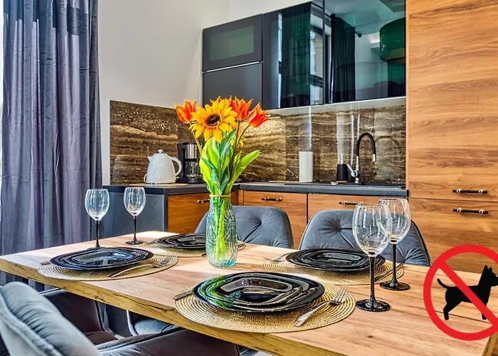 Apartment Simjes Kilinskiego 17 - Centrum, Przy Wyciagu, Blisko Szlakow *